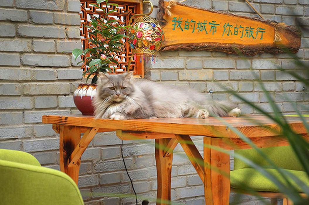 Luoyang Longmen Youth Hostel Extérieur photo